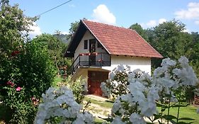 Apartman Ana